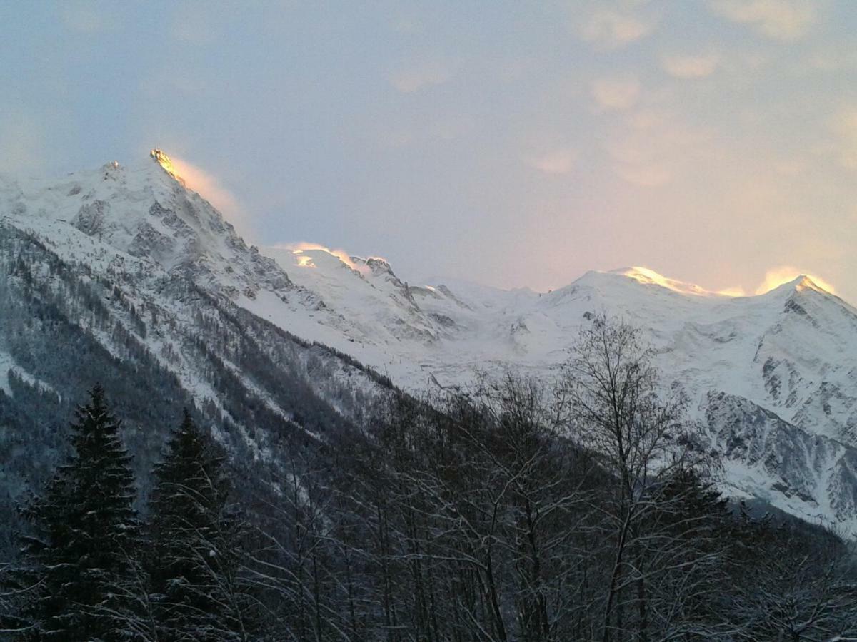 Appartement Capucine Chamonix Eksteriør billede